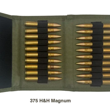 BW20 - Open w Cartridges copy