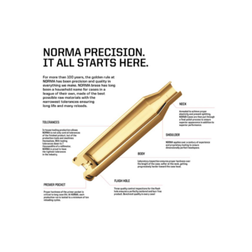 Brass-2-resized copy