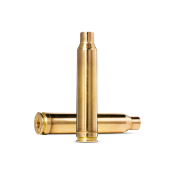 Brass 300 Win Mag - double 600