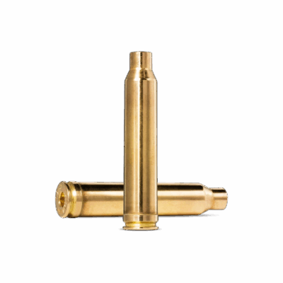 Brass 300 Win Mag - double 600