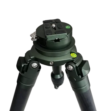 MT404 BY75 Green Top Angle 1