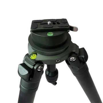 MT404 BY75 Green Top Angle 2