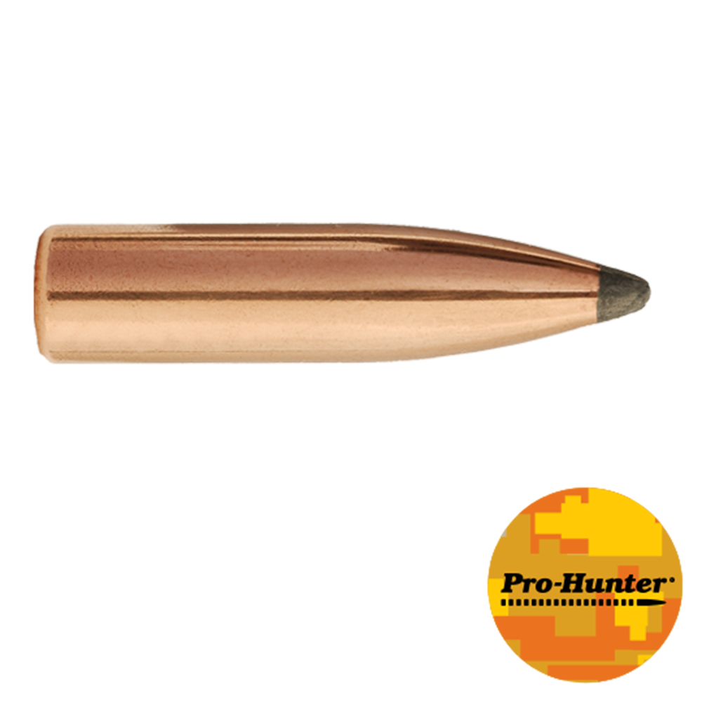 Sierra Pro-Hunter 6mm 100gr (100)