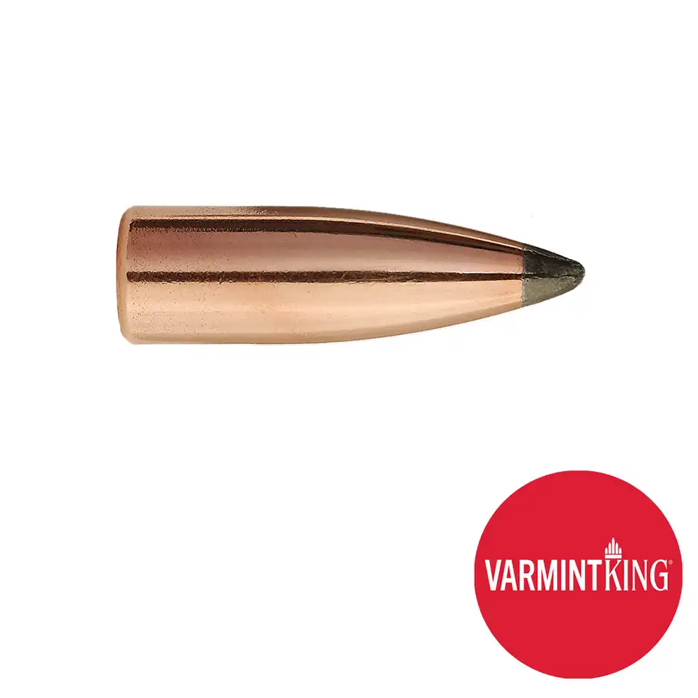 Sierra VarmintKing 22Cal 55gr (100)
