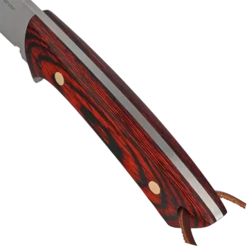 COL-9R Tang