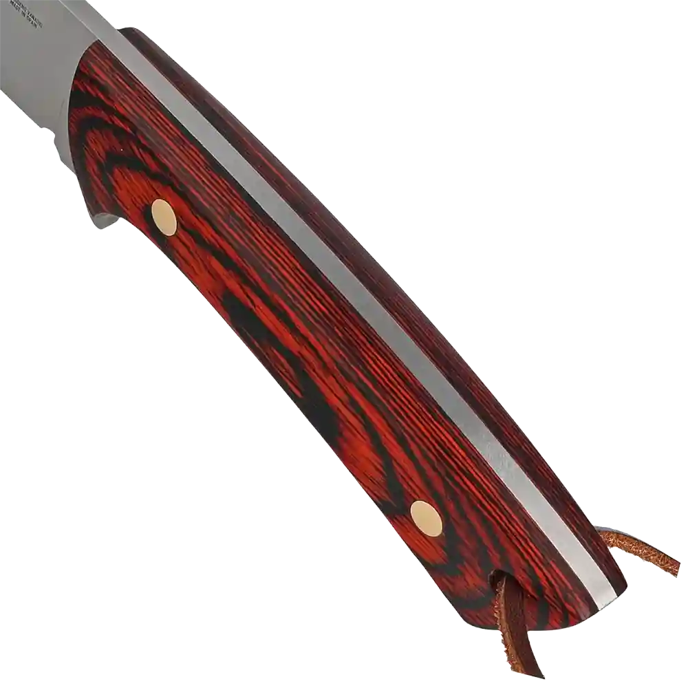 COL-9R Tang