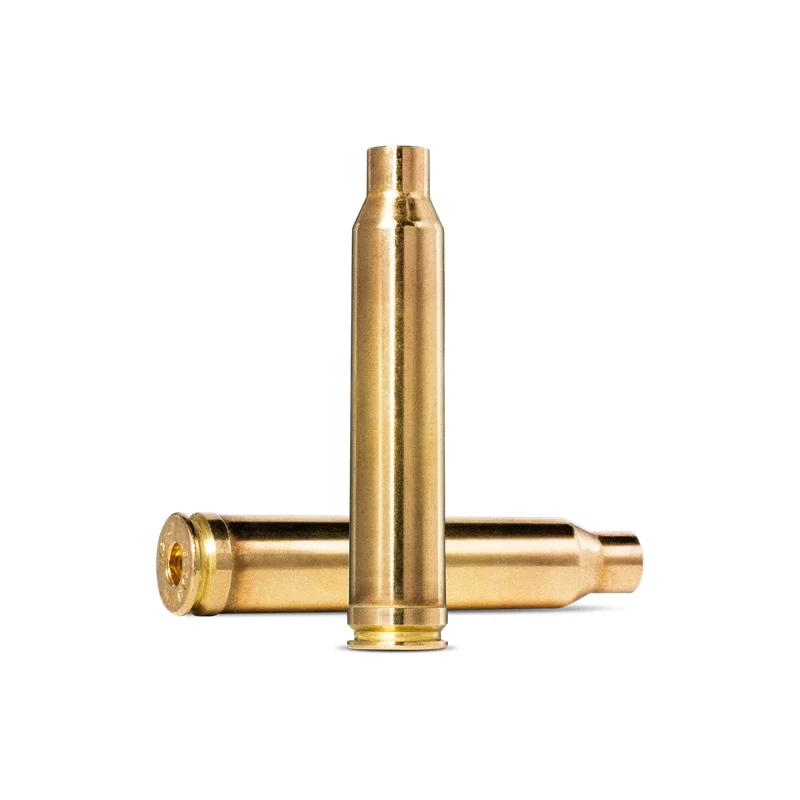 Brass 300 Win Mag – double 600